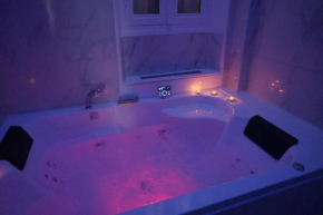 L'Experience Appartement & SPA Privé CHAMBERY